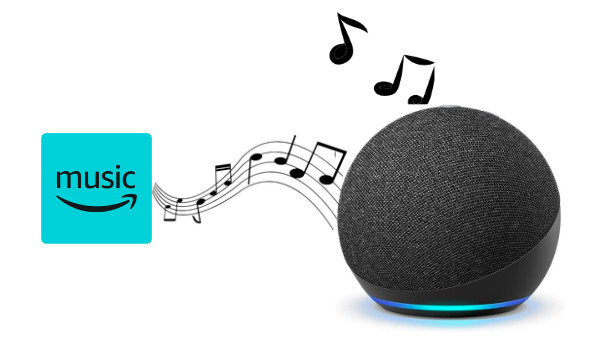 Play Amazon Music on Echo Dot