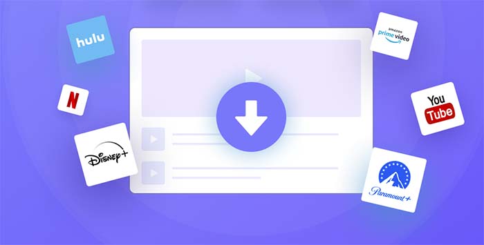 videogo interface